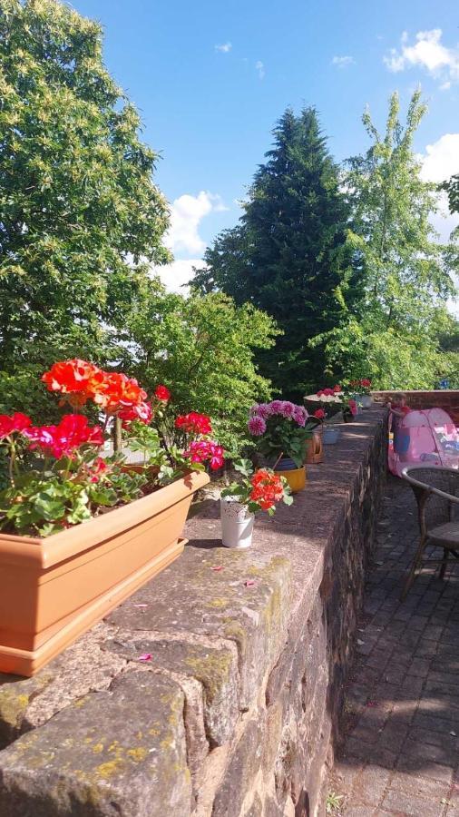 Privat Appartment Fockelberg Zewnętrze zdjęcie
