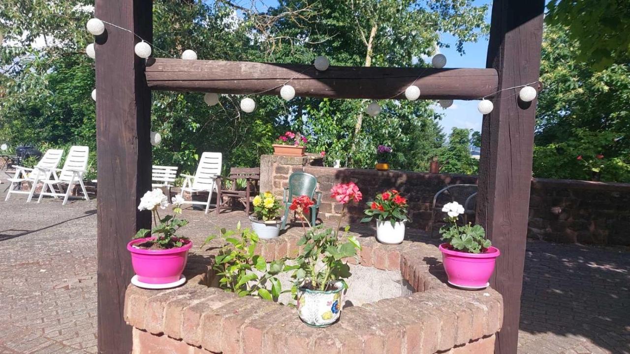 Privat Appartment Fockelberg Zewnętrze zdjęcie